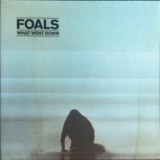 Foals - What Went Down 2015 UK 1st Press 180g VG+/VG+