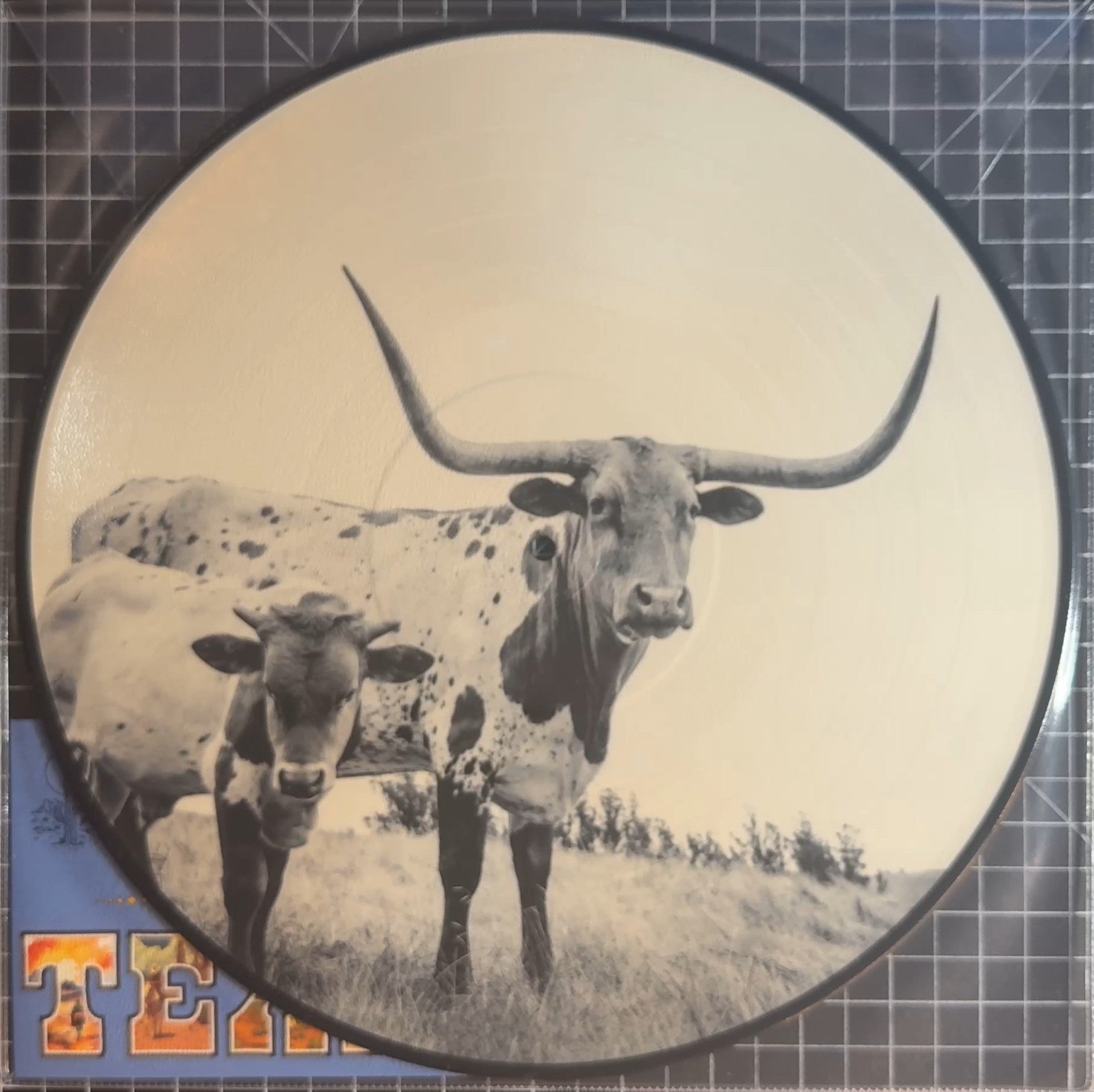 Mike Flanigin West Texas Blues 2024 NEW/NM 12" Picture Disc