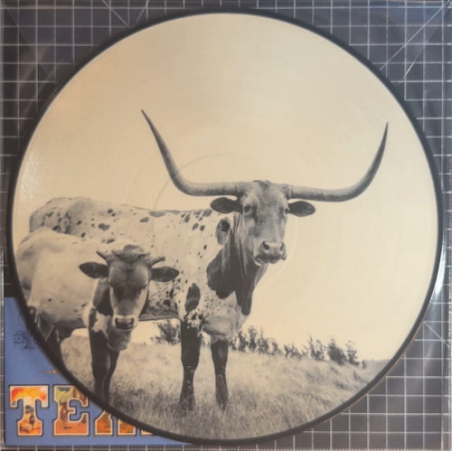Mike Flanigin West Texas Blues 2024 NEW/NM 12" Picture Disc