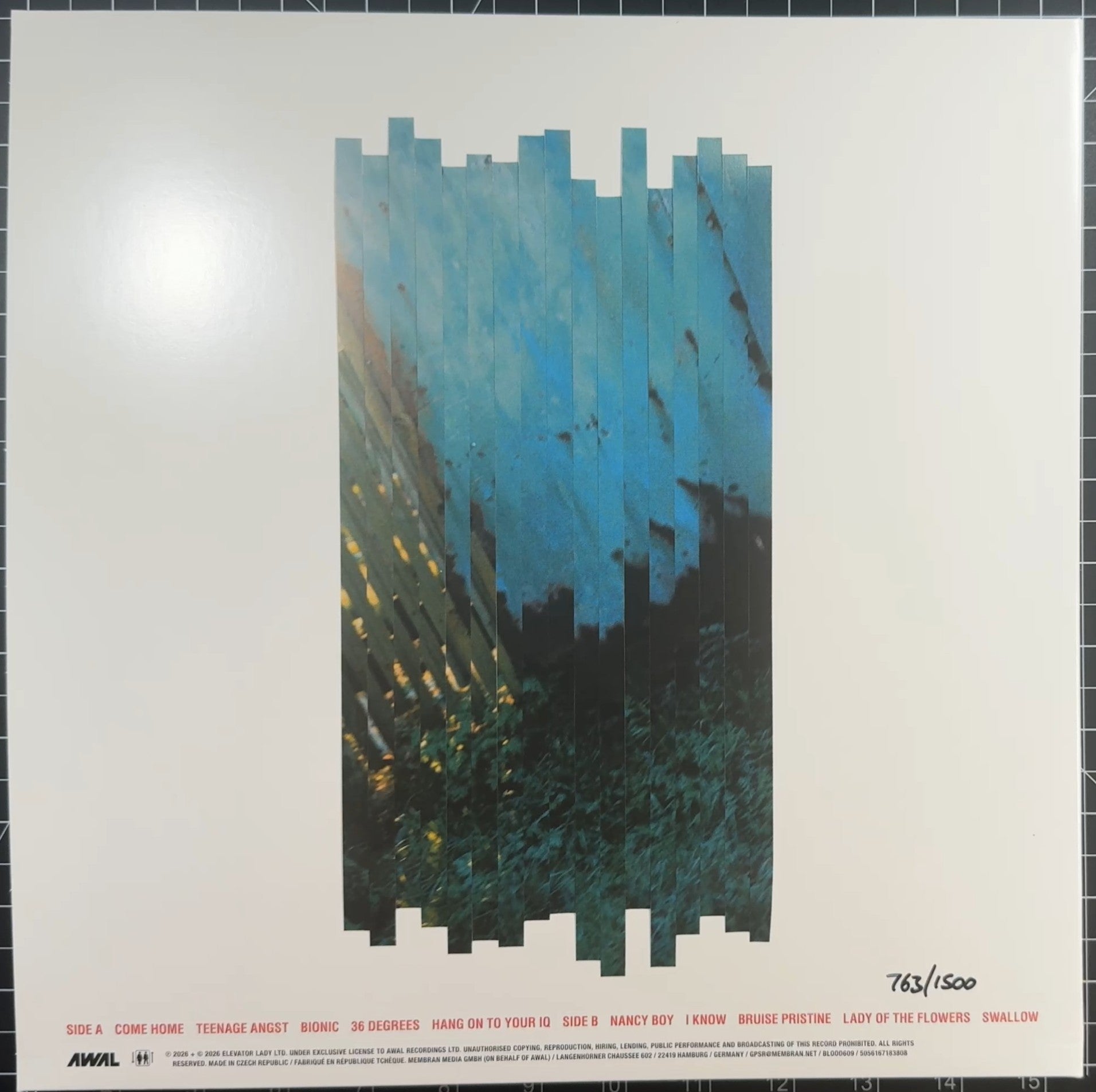 Placebo RE:Created BLOOD RECORDS UK 2026 Zoetrope New/NM #'d out of 1,500
