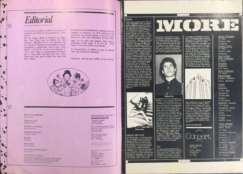 ULTRA RARE I Wanna Be Your Dog #5 1977 (Iggy Pop Clash Blondie Lou Reed)