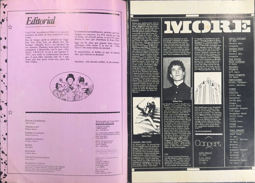 ULTRA RARE I Wanna Be Your Dog #5 1977 (Iggy Pop Clash Blondie Lou Reed)