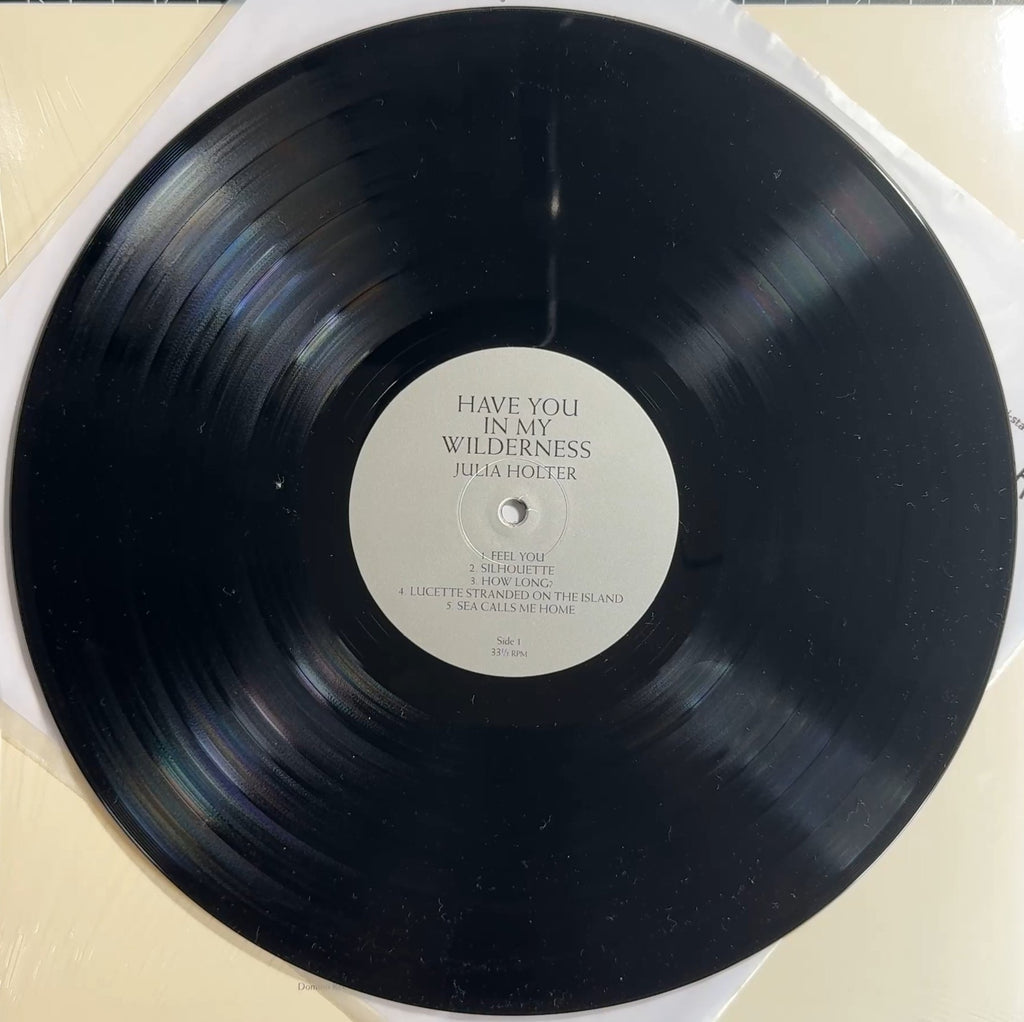 Julia Holter Have You In My Wilderness 2015 Euro 1st German Press 180g Vinyl