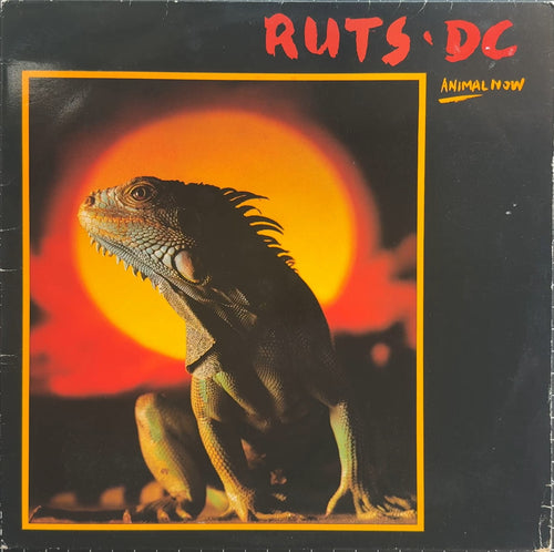 Ruts DC Animal Now 1981 UK 1st Press Aston Clinto Pressing VG+/VG