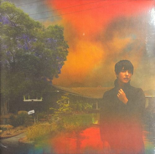 Sharon Van Etten We've Been Going... 2022 1st Press SEALED/NM Purple Vinyl