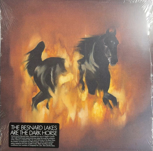 Besnard Lakes Are The Dark Horse 2007 1st Press SEALED/NM